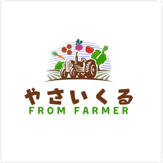 １０００円でおうちまで届く！送料込みの無選別お野菜セット【世田谷区内限定】